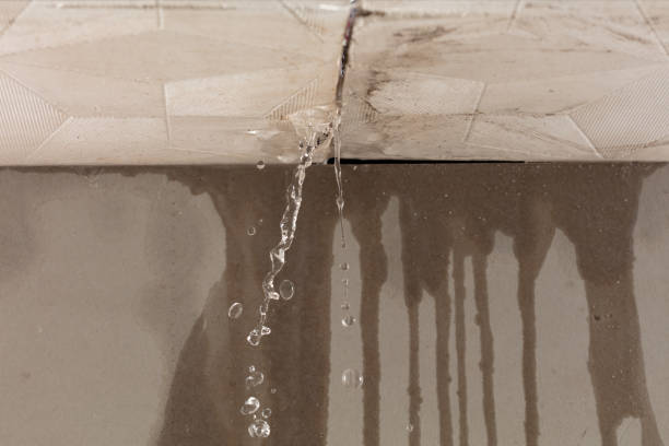 Professional Flood Damage Cleanup technician working in Alledonia, OH